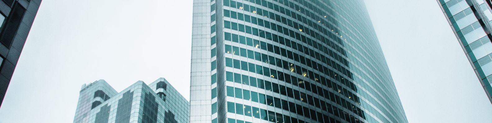 SRV Associates banner